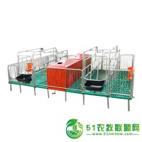 母豬產(chǎn)床定位欄2.5全復合材料熱鍍鋅定制單雙一體分娩床養(yǎng)豬
