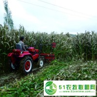 自走式玉米秸稈收獲機(jī)莖穗兼收玉米收割機(jī)