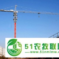 25噸大型水壩建設(shè)使用塔機 臂長80米臂端3噸塔式起重機 獨立高度77米塔機 QTZ500塔吊 TC8030全國成員之一大型吊 尖頭塔機 與法國波坦德國利勃海爾質(zhì)量相當 耐高溫 耐俄羅斯低溫 防銹防腐