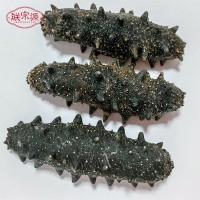 朕宗源淡干大連海參40頭刺參海味足干貨500g海參一手貨源誠(chéng)招代理