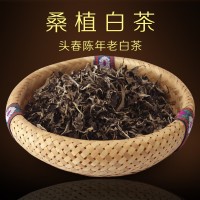桑植白茶 機(jī)采葉壓餅專用葉 高山品質(zhì)白茶散裝張家界特產(chǎn)廠家直銷