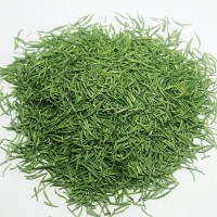 2022年新茶 貴州雀舌 綠茶 茶葉 500g散裝批發(fā)