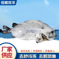 廠家現(xiàn)貨海參斑魚(yú) 去臟冷凍水產(chǎn)品海參斑 餐飲海鮮水產(chǎn)海參斑