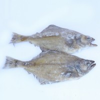 貨源供應(yīng)比目魚(yú) 肉質(zhì)鮮嫩冷凍鰈魚(yú)戶(hù)外燒烤鰈魚(yú)