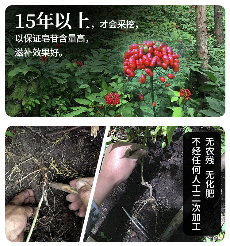 未標(biāo)題-1_08.jpg