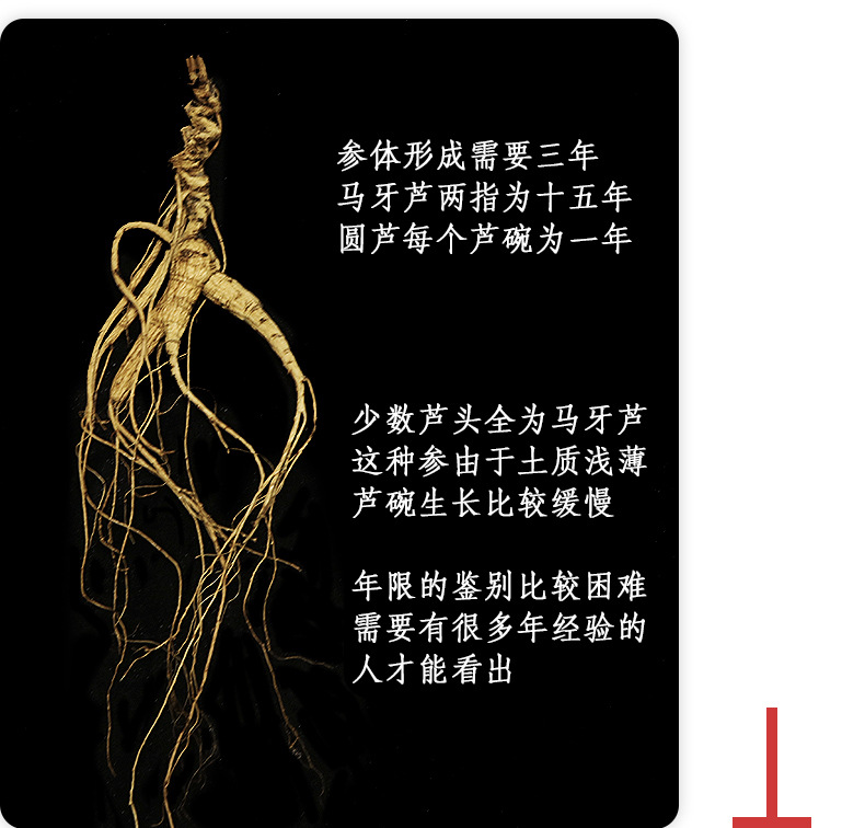 未標(biāo)題-1_15.jpg