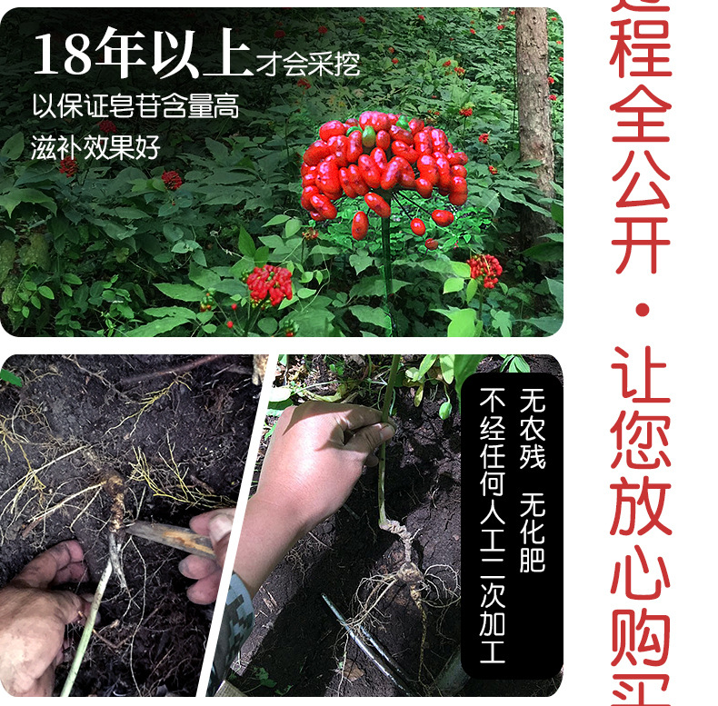 未標(biāo)題-1_07.jpg