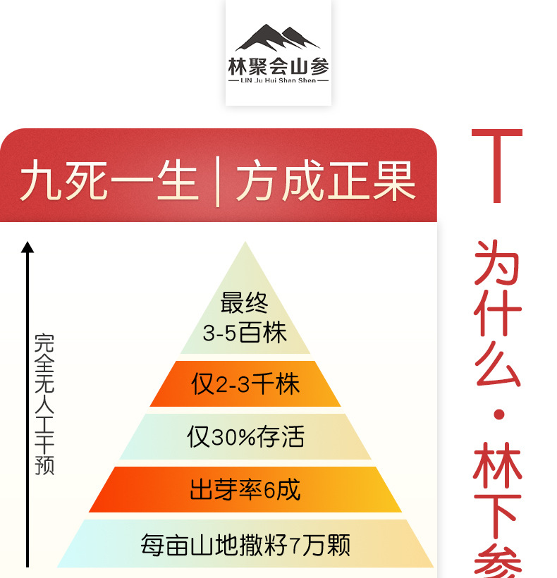 未標(biāo)題-1_09.jpg