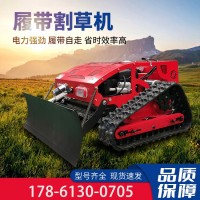 小型履帶割草機(jī)配打藥機(jī) 園林綠化碎草機(jī) 凱信果園遙控履帶除草機(jī)
