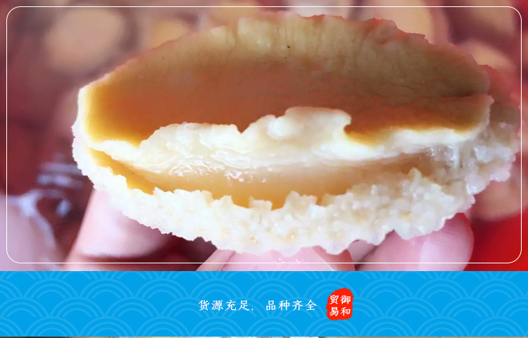 凈鮑魚肉_12