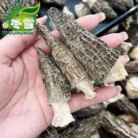 【一級羊肚菌】產(chǎn)地大貨直批一件代發(fā)淘寶貨源食材食用菌誠招代理