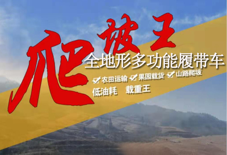 小型履帶運(yùn)輸車詳情