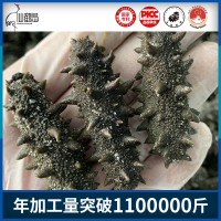 大連大火拉缸鹽半干原料批發(fā)可做國標干貨即食海參