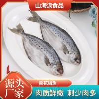 雪花鯧魚 斑點鯧魚海鮮凍品食品 酒店餐飲食材供應冷凍雪花鯧