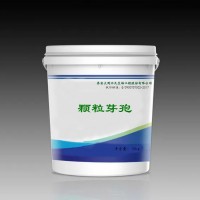 顆粒芽孢水質改良飼料添加顆粒型微生物菌劑調水益生