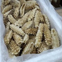 海參廠家直發(fā)即食海參即食白金刺身批發(fā)零售500g斤裝