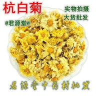 批發(fā)花草茶【杭白菊】