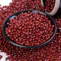 廠家批發(fā)天津珍珠紅小豆 紅豆出沙軟糯紅豆餡料 五谷雜糧