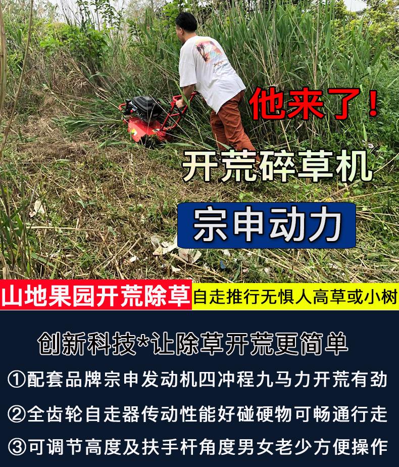 詳情_01.jpg