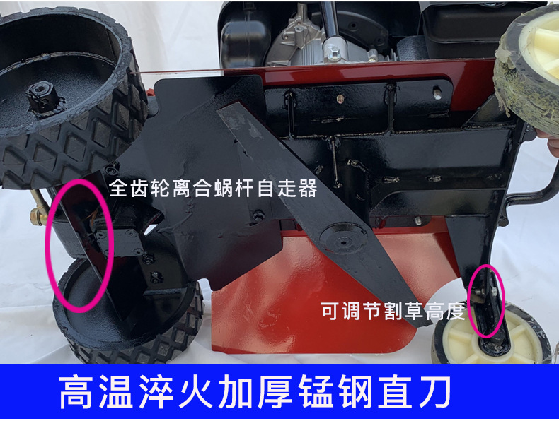 詳情_09.jpg