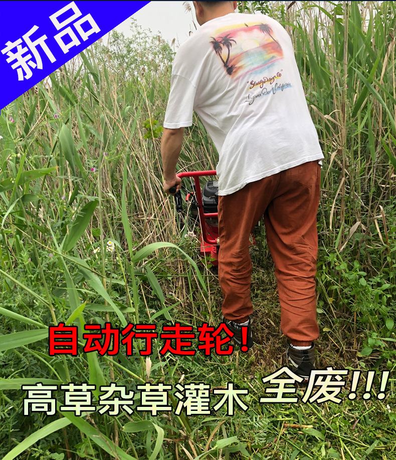詳情_02.jpg