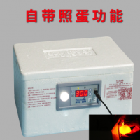 伊科貝特仿生水床孵化機(jī) 家用型20枚孵化器小型 自動控溫孵蛋器