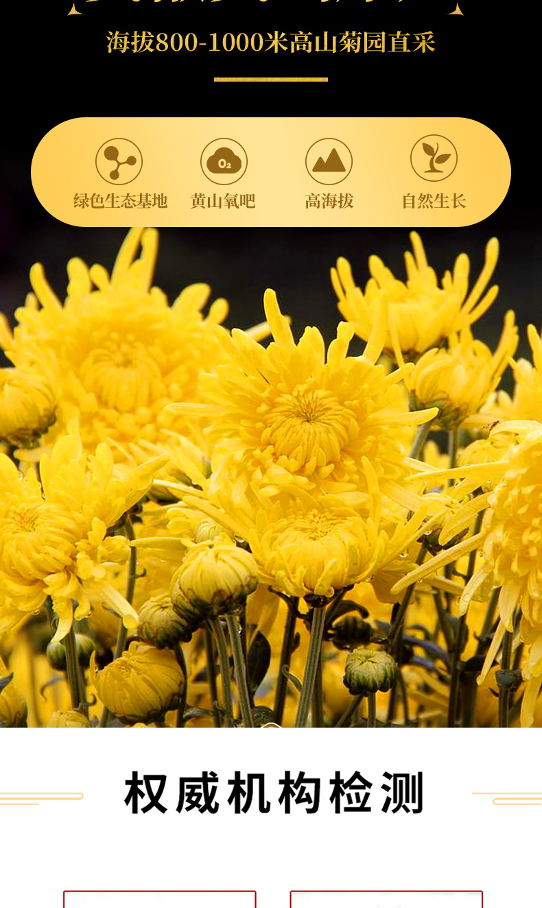 金絲皇菊枸杞茶_06.jpg