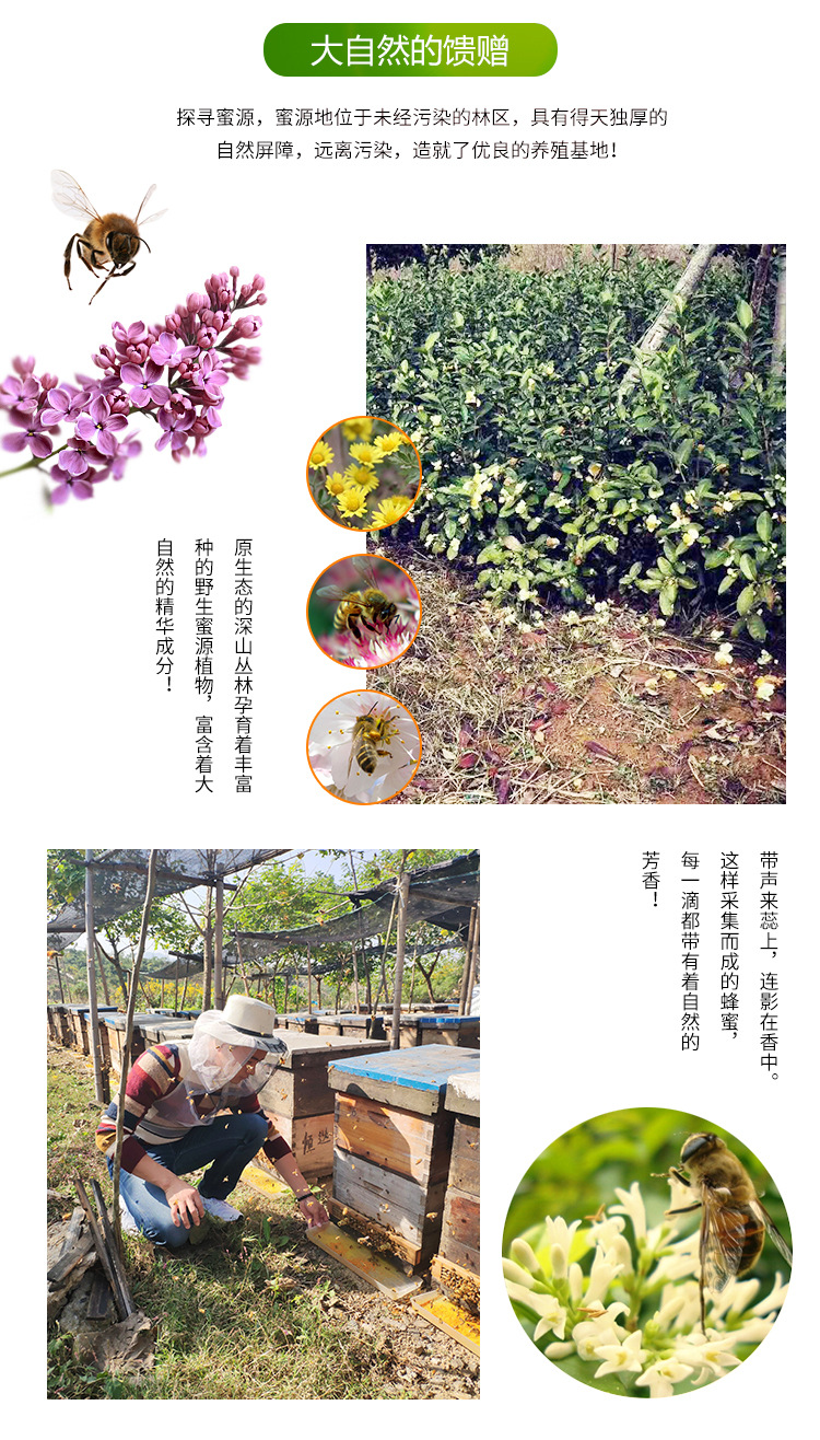 蜂王漿詳情_03