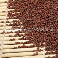 批發(fā)熟蘿卜籽 低溫烘焙 大蘿籽 五谷雜糧批發(fā) 散裝蘿卜籽