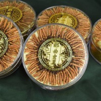 西藏那曲冬蟲(chóng)夏草 足干無(wú)斷草小干草 足干小草100條/盒一手價(jià)格