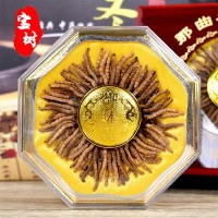 西藏那曲網(wǎng)紅小蟲(chóng)草 西藏冬蟲(chóng)夏草100條裝一盒 產(chǎn)地直供 量大價(jià)優(yōu)