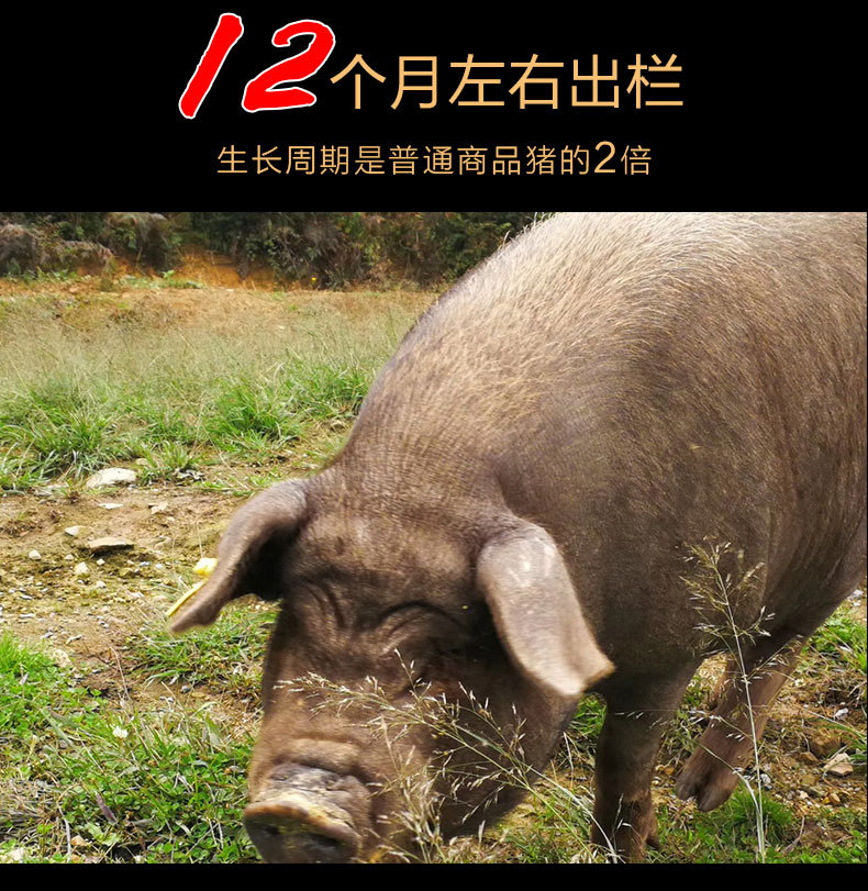 五花肉臘肉詳情頁_10.jpg