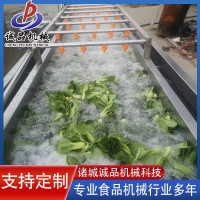 全自動果蔬氣泡清洗機 商用洗菜洗水果設(shè)備 大型車厘子櫻珠清洗機