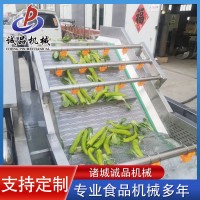 蔓越莓氣泡果蔬清洗機 全自動山野菜蔬菜加工設(shè)備 醬菜脫鹽清洗機