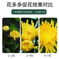 廠家花多多2號1號通用型花肥花卉催花肥復(fù)合肥水溶肥料營養(yǎng)土批發(fā)