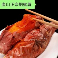 唐山沙地?zé)熓?5，口感香甜，軟嬬無絲，供應(yīng)各大烤薯店