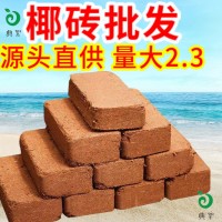 廠家批發(fā)椰磚花草蔬菜多肉營養(yǎng)土椰糠椰殼磚有機(jī)栽培基質(zhì)壓縮椰磚