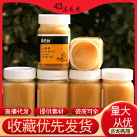 結(jié)晶細膩蜂蜜批發(fā) 農(nóng)家土特產(chǎn)抖音代發(fā)土蜂蜜500克結(jié)晶蜜廠家蜜糖