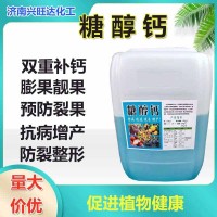 糖醇鈣 螯合鈣葉面肥果實(shí)圓潤(rùn)膨大肥 糖醇鈣