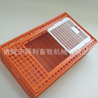 加大塑料雞籠子 裝雞塑料筐 大雞周轉(zhuǎn)籠 雞鴨鵝運(yùn)輸籠優(yōu)惠批發(fā)