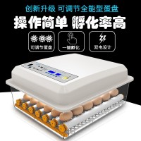 工廠批發(fā)小雞孵化器小型家用智能孵化機(jī)跨境迷你雞蛋孵蛋器孵蛋機(jī)