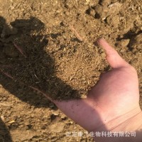 發(fā)酵羊糞 羊糞有機肥料 牛糞有機肥 雞糞有機肥 干雞糞