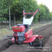 手扶式兩驅(qū)汽油輕便微耕機 打田松土耕整設(shè)備 農(nóng)用耕地翻土機械