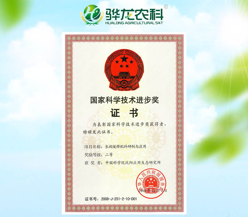 進(jìn)步獎(jiǎng)項(xiàng)