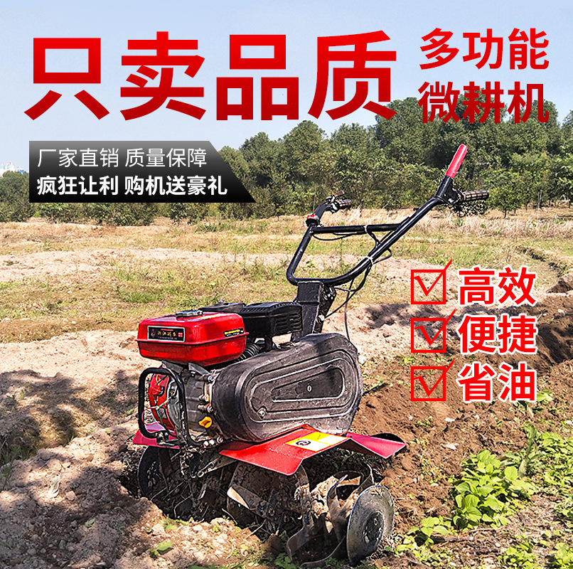 畫板 1 拷貝 4