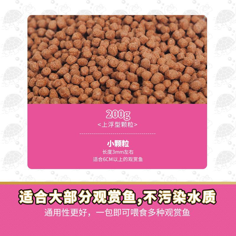 238觀賞魚新主圖2
