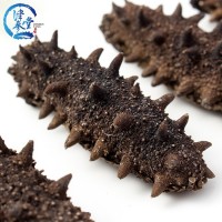 批發(fā)海參干貨 津參堂大連海產(chǎn)品純淡干海參7X級(jí)500g 遼參刺參海參