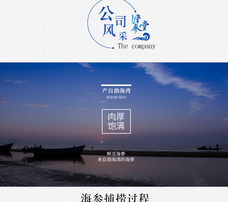 遼參刺參7X級-500g_03