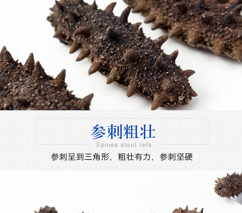 遼參刺參7X級-500g_09