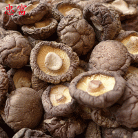 湖北干香菇山貨 金錢(qián)菇菌類(lèi)干貨 香菇干 基地供應(yīng)500g
